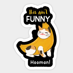 funny banana cat- ain't funny hooman! Sticker